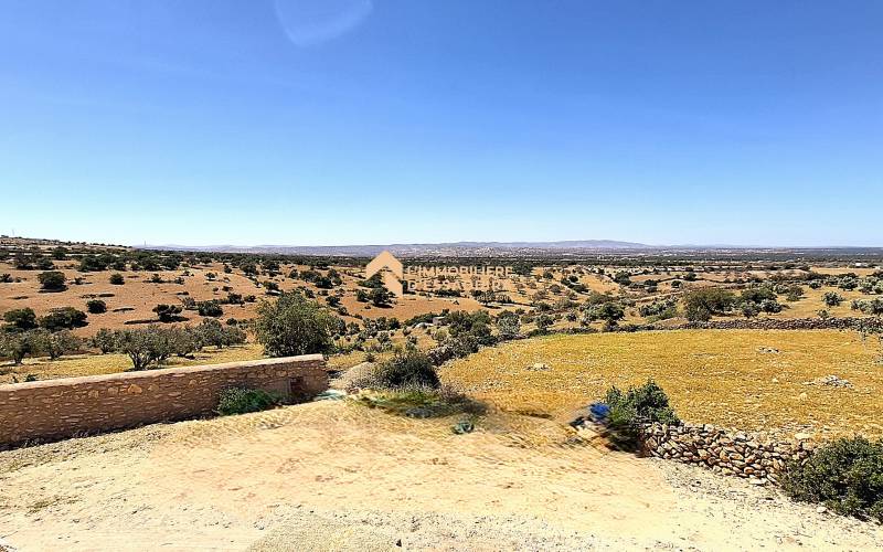 Bergerie Id Amer (7)